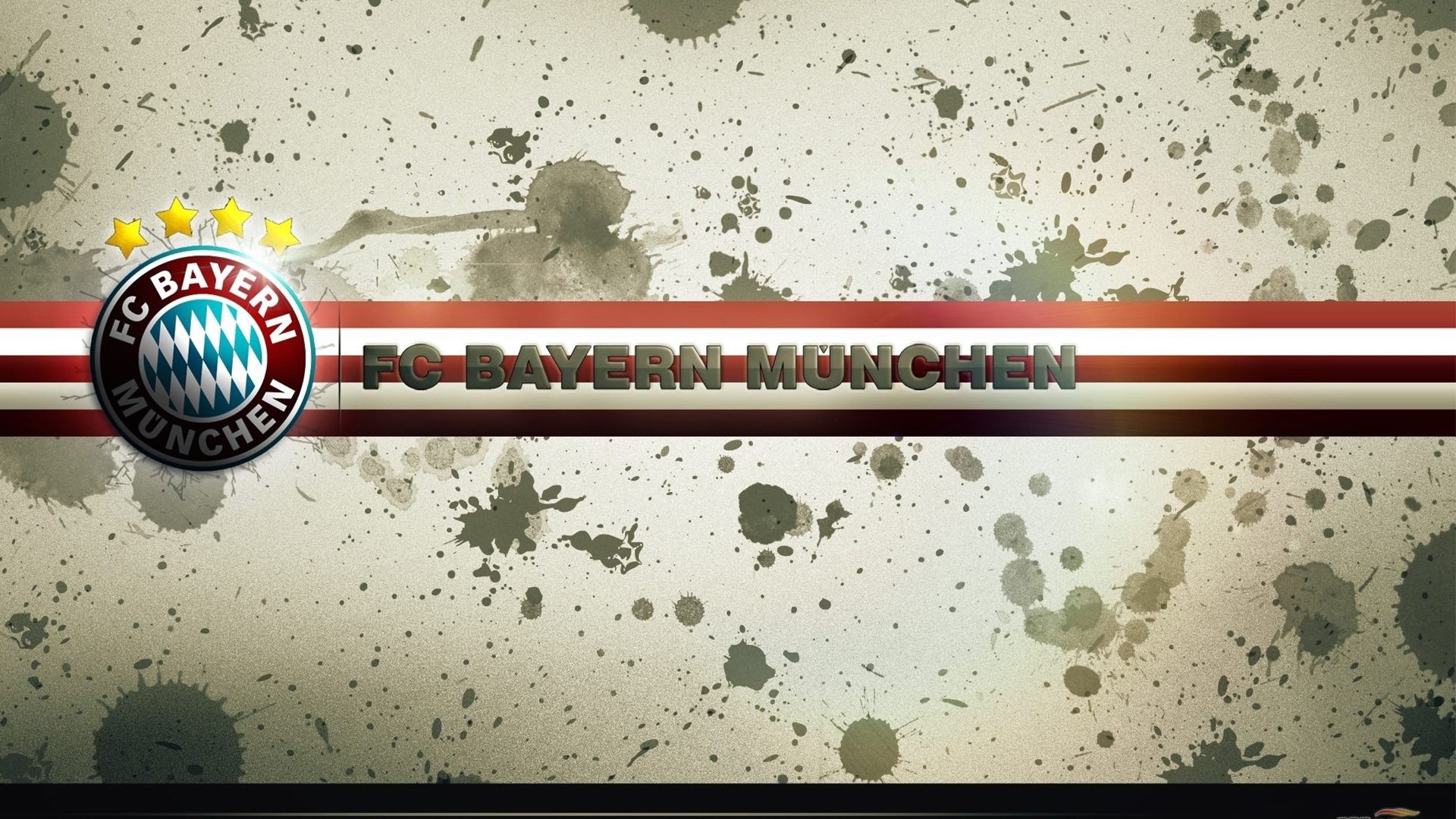 “埃尔斯·霍斯特：南非橄榄球的未来领军人物”